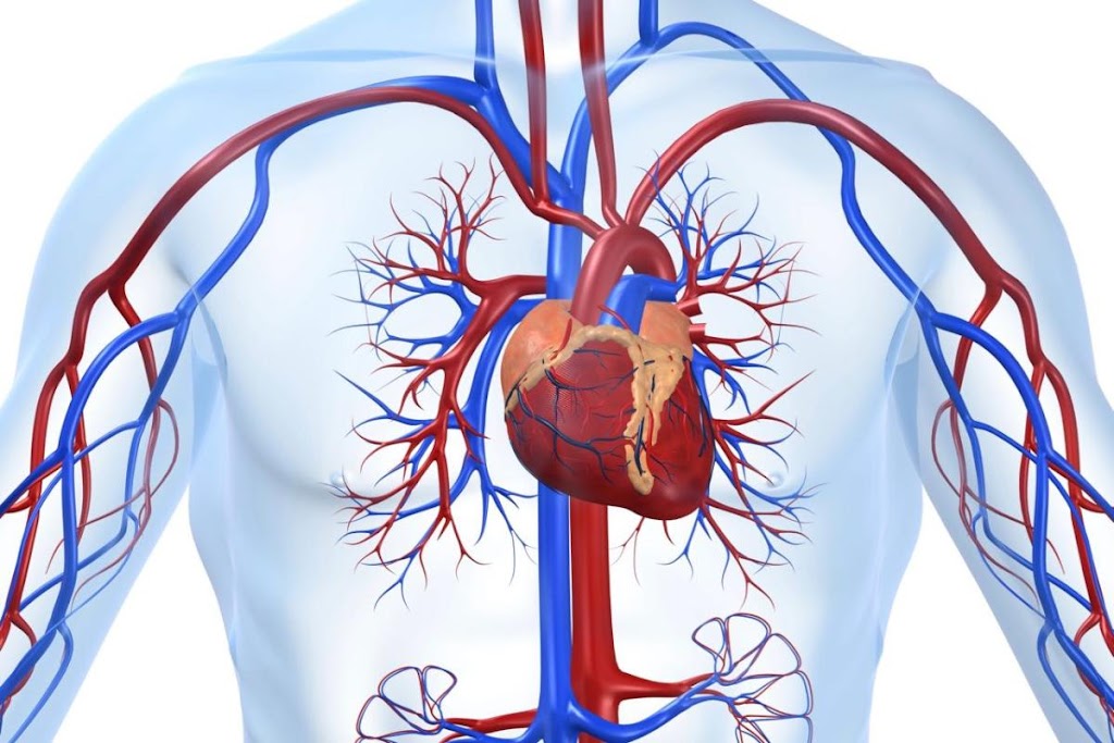Сърдечните заболявания все по-често преследват хора